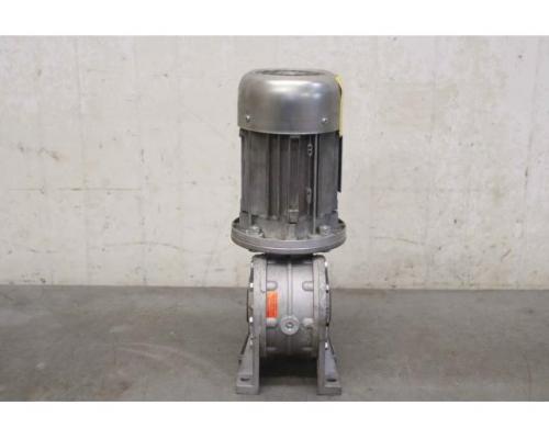 Getriebemotor 0,25 kW 13 U/min von S.T.M. – RMI 50 D M63C4 - Bild 10