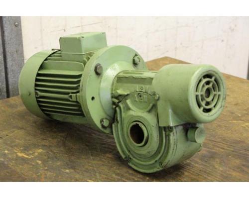 Getriebemotor 1,5 kW 75 U/min von Loher – AL 90LA-4 - Bild 2