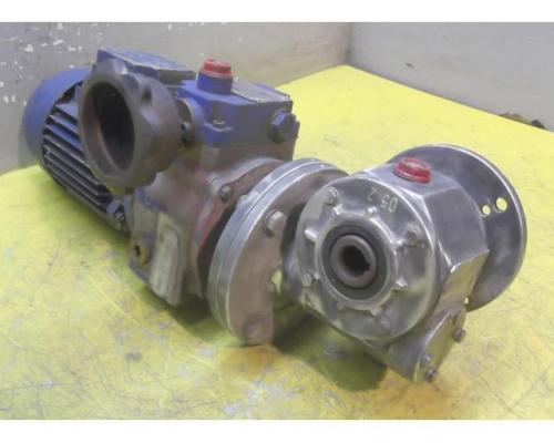 regelbarer Getriebemotor 0,25 kW 47-246 U/min von MOTOVARIO – TKF/2 - Bild 2