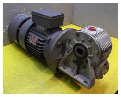 Getriebemotor 0,45/0,55 kW 60 U/min von Coel – HFI - Bild 2