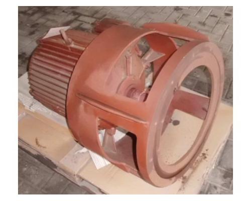 Elektromotor 55 kW 2950 U/min von Emod – 225M/2 OLS - Bild 2