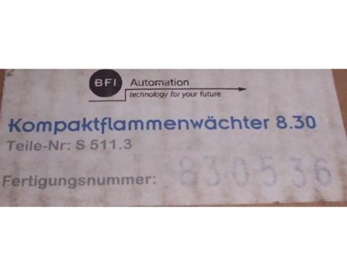 Kompaktflammenwächter von BFI – 8.30 - Bild 6