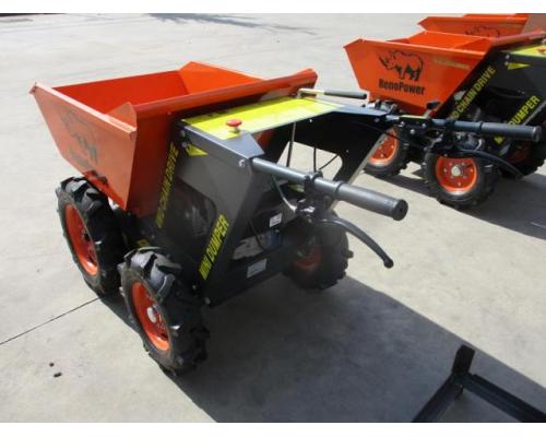 RENOPOWER  250 B&S Dumper - Bild 2